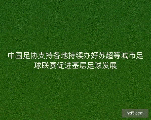 中国足协支持各地持续办好苏超等城市足球联赛促进基层足球发展