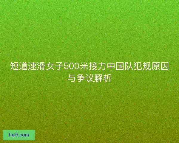 短道速滑女子500米接力中国队犯规原因与争议解析